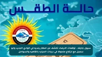 سيول جارفة.. توقعات الأرصاد تكشف عن أمطار رعدية في الوادي الجديد وأبو سمبل مع ارتفاع ملحوظ في درجات الحرارة بالقاهرة والسواحل